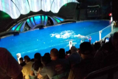 IMG_20220717_171516297