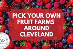 PICK YOUR OWN FRUIT FARMS ON CLEVELAND'S WEST SIDE - 1